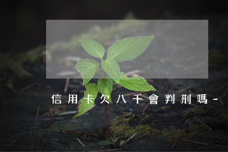 信用卡欠八千會判刑嗎-欠信用卡8000