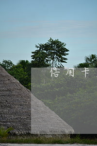 信用卡欠八百(欠信用卡800)