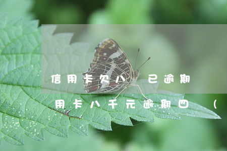 信用卡欠八萬已逾期兩個(gè)月了 欠信用卡八千元逾期四個(gè)月會(huì)不會(huì)坐牢