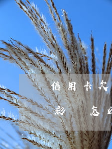信用卡欠六千失信彩鈴-信用卡欠六千失信彩鈴怎么辦