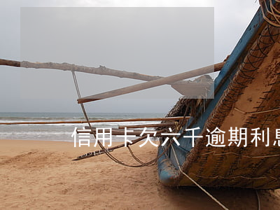 信用卡欠六千逾期利息兩千多