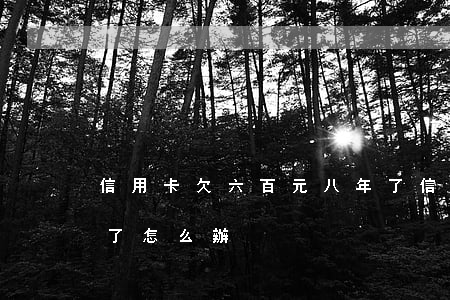 信用卡欠六百元八年了(信用卡欠六百元八年了怎么辦)