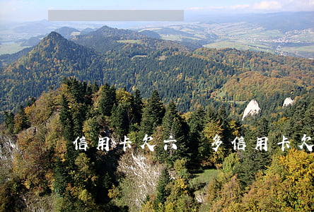 信用卡欠六萬多(信用卡欠六萬多會坐牢嗎)