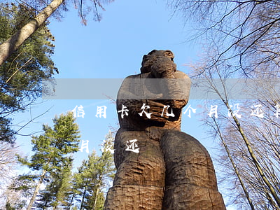 信用卡欠几个月没还算逾期吗（信用卡欠几个月没还）