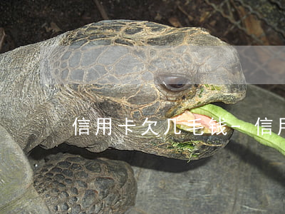 信用卡欠几毛钱-信用卡欠几毛钱上征信