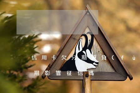 信用卡欠分期算負(fù)債-欠信用卡分期影響征信嗎