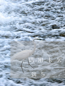 信用卡欠到5萬無力償還怎么辦-信用卡欠到5萬無力償還怎么辦呢