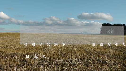 信用卡欠到下個賬單日 信用卡欠到下個賬單日怎么還