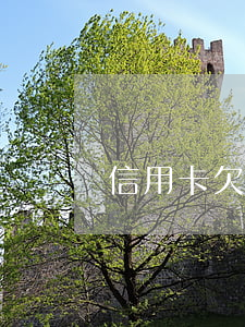 信用卡欠十幾天 信用卡10幾天逾期