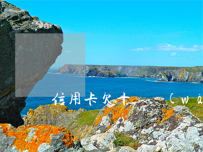 信用卡欠十幾萬(wàn)利息