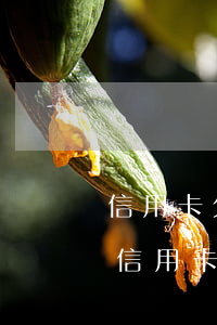 信用卡欠十幾萬一個(gè)月多少利息-信用卡欠十幾萬一個(gè)月多少利息啊