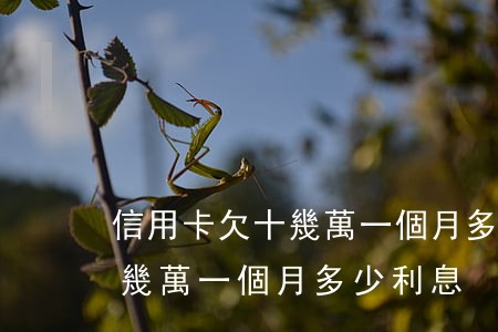 信用卡欠十幾萬一個月多少利息 信用卡欠十幾萬一個月多少利息
