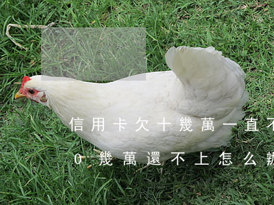 信用卡欠十幾萬一直不還(信用卡總共欠了10幾萬還不上怎么辦)