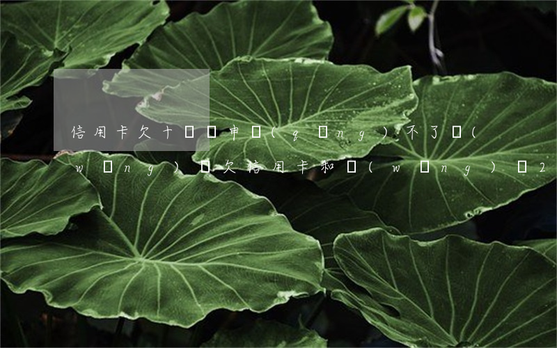 信用卡欠十幾萬申請(qǐng)不了網(wǎng)貸(欠信用卡和網(wǎng)貸20萬已經(jīng)還不動(dòng)了)