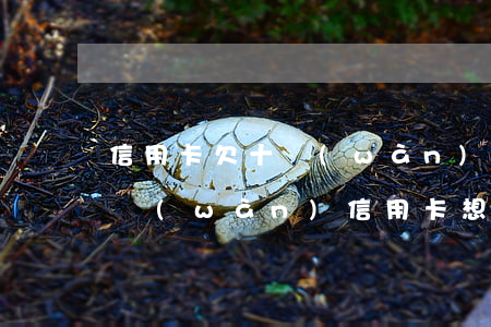 信用卡欠十萬(wàn)人死了-欠了10萬(wàn)信用卡想死了