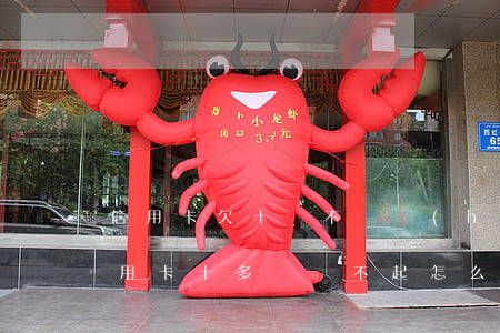 信用卡欠十萬不還會(huì)怎么樣(欠信用卡十多萬還不起怎么辦)