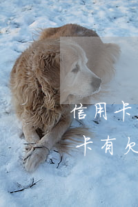 信用卡欠十萬可以辦理裝修貸嗎(裝修貸信用卡有欠款能批嗎)