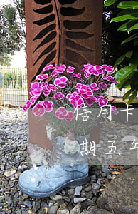 信用卡欠十萬逾期三年以上(三十萬信用卡逾期五年)