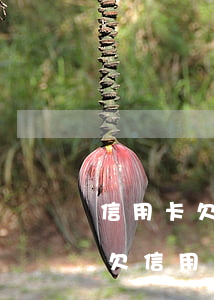 信用卡欠十萬逾期會(huì)被判多少年(欠信用卡10萬逾期兩年)