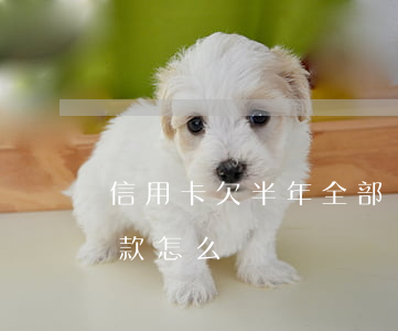 信用卡欠半年全部還款(信用卡欠半年全部還款怎么辦)