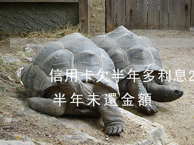 信用卡欠半年多利息(2020年信用卡逾期半年未還金額)