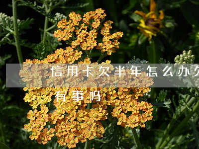 信用卡欠半年怎么办(欠行用卡钱半年没还上有事吗?)