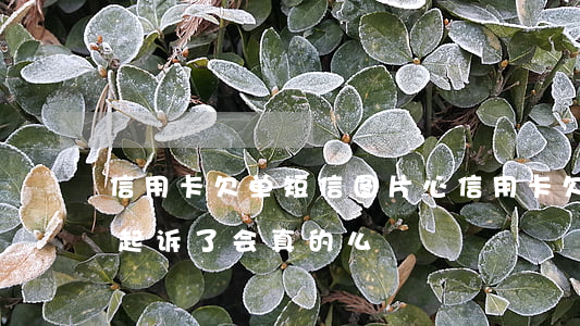信用卡欠单短信图片(心信用卡欠款发短信说起诉了,会真的么)