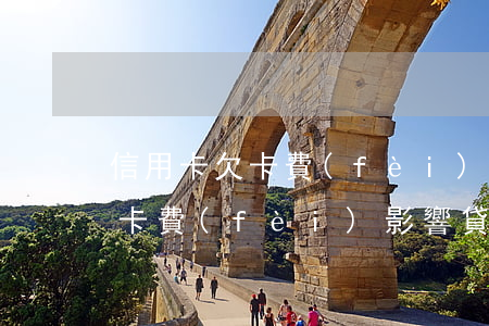 信用卡欠卡費(fèi)影響貸款(信用卡欠卡費(fèi)影響貸款嗎)