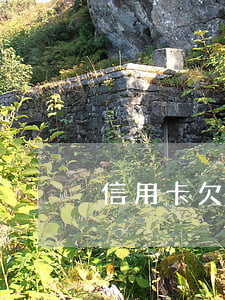 信用卡欠卡費怎么還