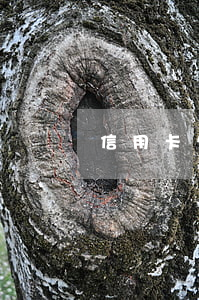 信用卡欠喪葬費(死者欠信用卡被起訴后喪葬費賠償費會被執(zhí)行嗎)