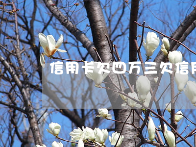 信用卡欠四万三 欠信用卡4万块
