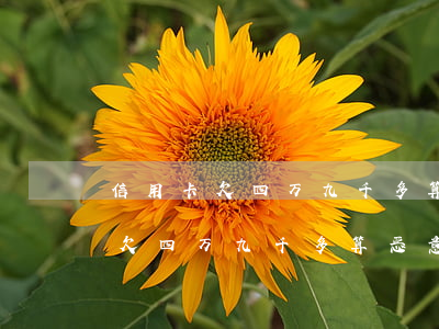 信用卡欠四万九千多算恶意透支吗-信用卡欠四万九千多算恶意透支吗怎么办