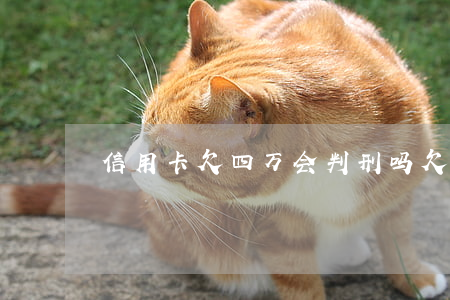 信用卡欠四万会判刑吗(欠信用卡4万多)