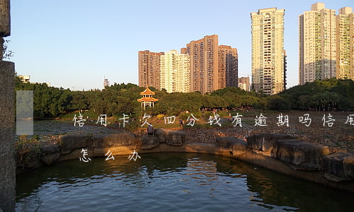 信用卡欠四分钱有逾期吗(信用卡逾期了四天怎么办)