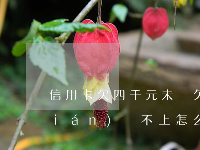信用卡欠四千元未還(欠信用卡四千塊錢(qián)還不上怎么辦)