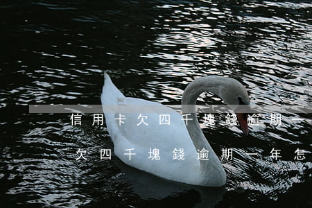 信用卡欠四千塊錢逾期一年怎么了-信用卡欠四千塊錢逾期一年怎么了啊