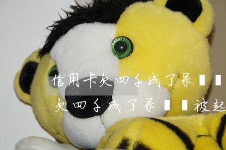 信用卡欠四千成了呆賬會被起訴嗎-信用卡欠四千成了呆賬會被起訴嗎知乎