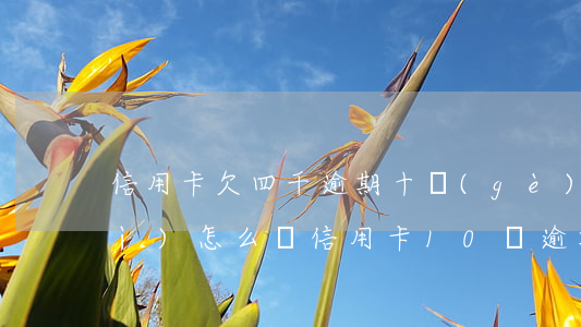 信用卡欠四千逾期十個(gè)月會(huì)怎么樣(信用卡10萬逾期半年8萬利息)