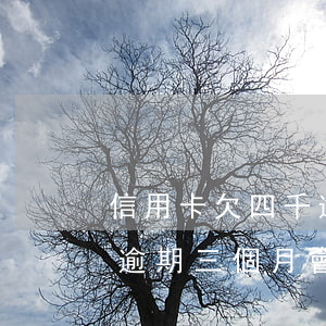 信用卡欠四千逾期超過三個月(欠信用卡四萬逾期三個月會怎么樣)