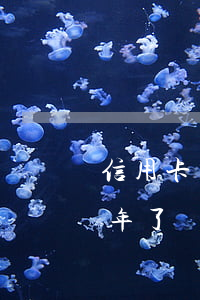 信用卡欠四年了突然律師打電話（信用卡欠四年了）