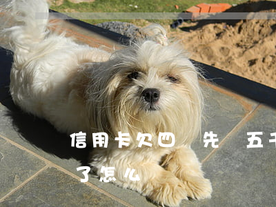 信用卡欠四萬先還五千(欠信用卡四萬五還不了怎么辦)