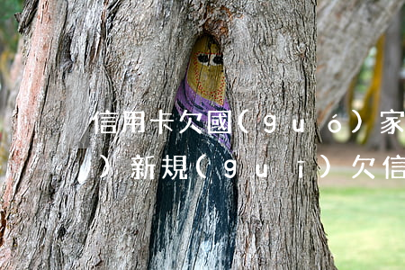 信用卡欠國(guó)家多少錢(qián)(新規(guī)欠信用卡多少錢(qián)會(huì)坐牢)