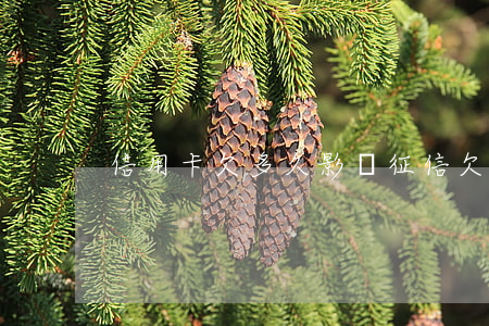信用卡欠多久影響征信(欠信用卡多久不用還)
