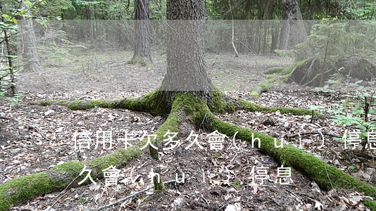 信用卡欠多久會(huì)停息(信用卡欠多久會(huì)停息)