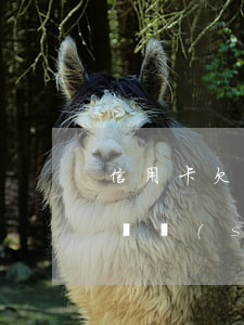 信用卡欠多久會(huì)討債(欠信用卡多長時(shí)間會(huì)上征信)
