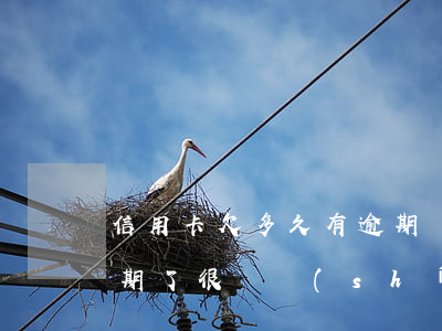 信用卡欠多久有逾期記錄(信用卡欠款兩萬逾期了很長時(shí)間怎么辦)