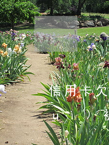 信用卡欠多久能起訴(欠信用卡多久才會(huì)被起訴)