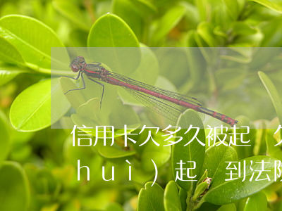 信用卡欠多久被起訴(欠信用卡一般多久會(huì)起訴到法院)