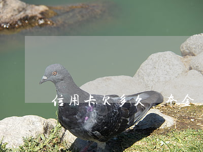 信用卡欠多久還本金