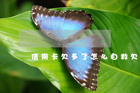 信用卡欠多了怎么自救 欠信用卡太多了